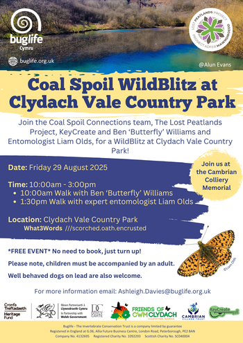 Coal Spoil BioBlitz at Clydach Vale Country Park - English Version (2)