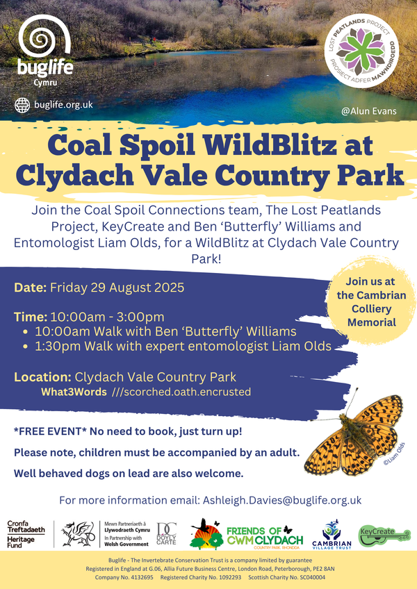 Coal Spoil BioBlitz at Clydach Vale Country Park - English Version (2)