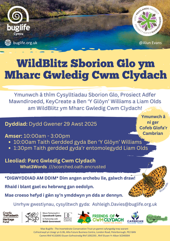 Coal Spoil BioBlitz at Clydach Vale Country Park - Welsh Version (1)