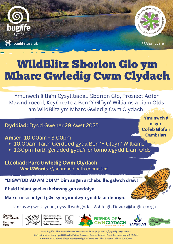 Coal Spoil BioBlitz at Clydach Vale Country Park - Welsh Version (1)
