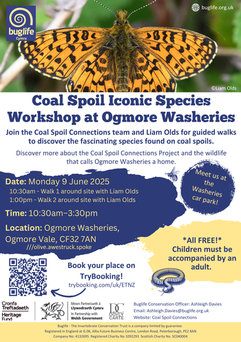 Coal Spoil Connections Workshop - Ogmore Washeries (June 2025) (3)