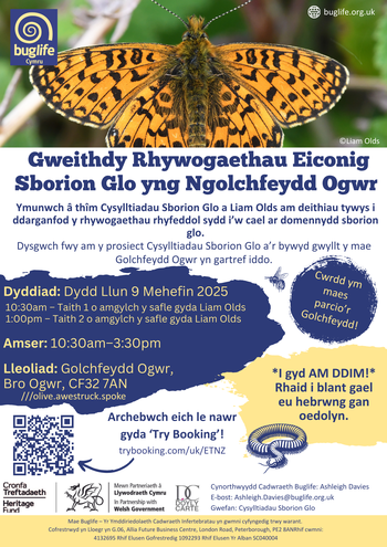 Coal Spoil Connections Workshop - Ogmore Washeries (June 2025) (4)