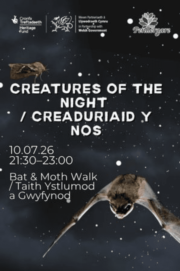 Creatures of the night