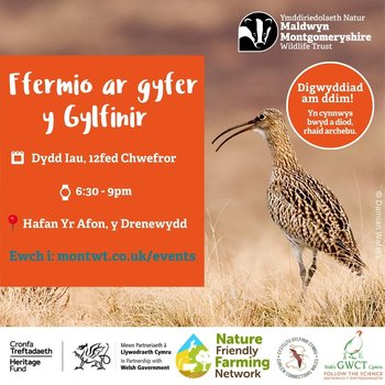 Ffermio ar gyfer y Gylfinir