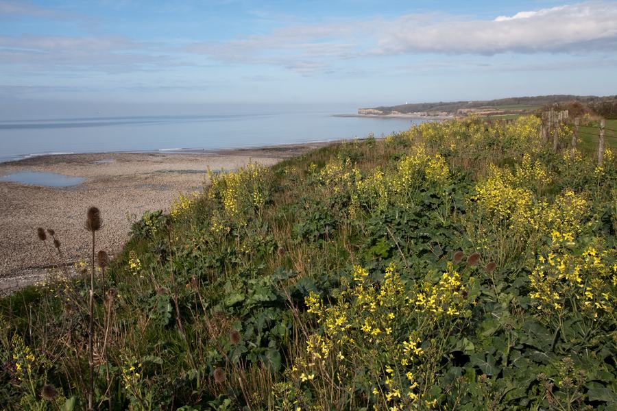 Cwm Colhuw (C) Vaughn Matthews (1)