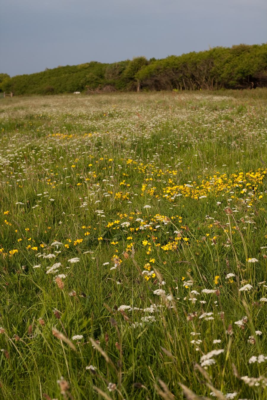 Cwm Colhuw (C) Vaughn Matthews (3)