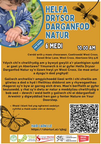 Treasure Hunt Swansea eng