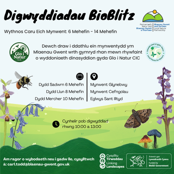 Cymraeg