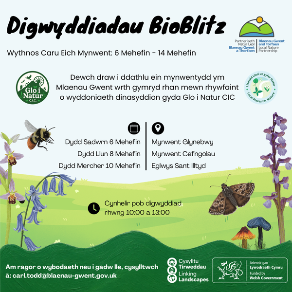 Cymraeg