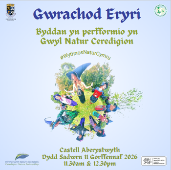 Dancing witches Cym