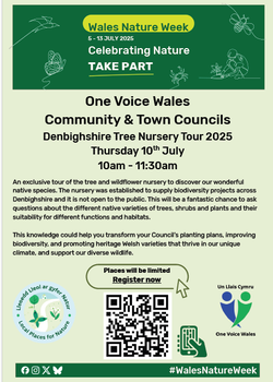 Denbighshire Tree Nursery Tour