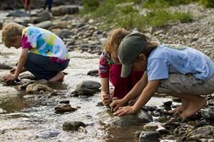 Discovering Life in the Stream