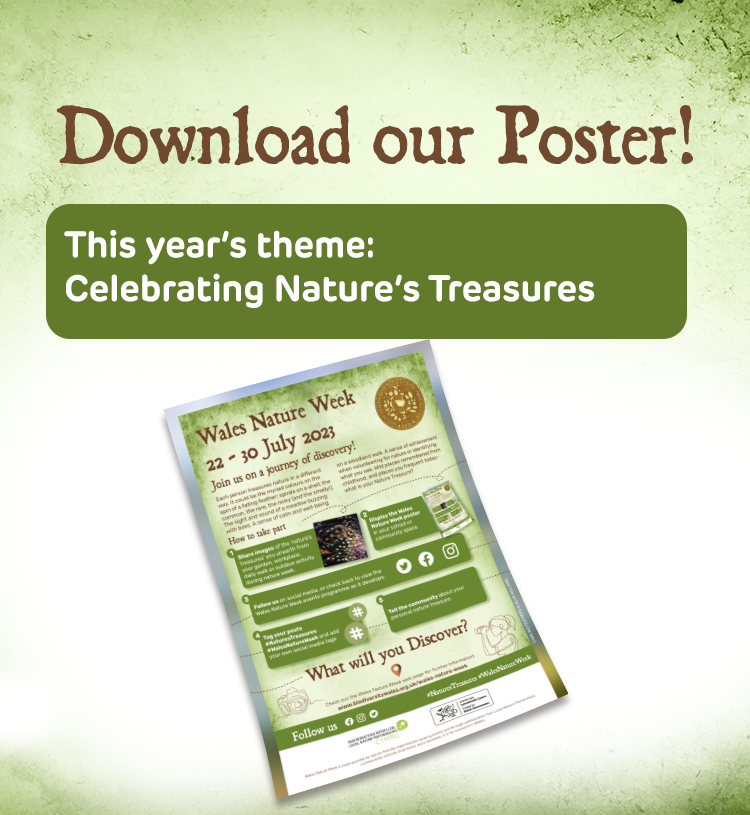 Download-our-Poster-Button