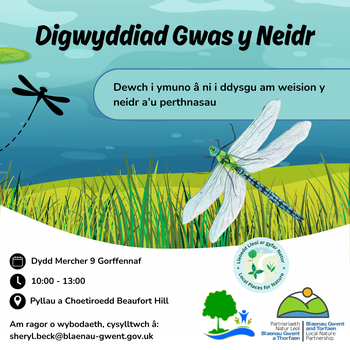 Digwyddiad Gwas y Neidr Beaufort Hill