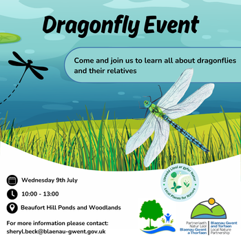 Dragonfly Event Beaufort Hill