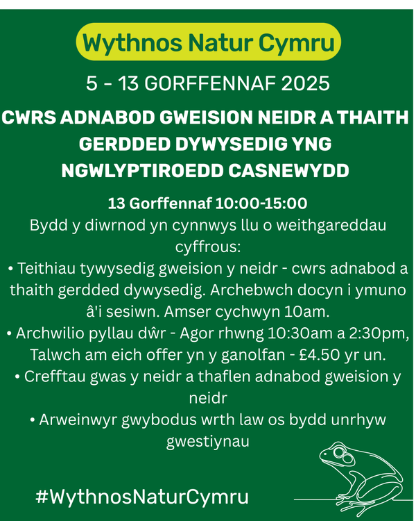 Cwrs Adnabod Gweision Neidr a Thaith Gerdded Dywysedig yng Ngwlyptiroedd Casnewydd