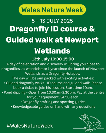 Dragonfly ID course and Guided walk at Newport Wetlands