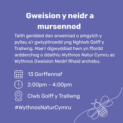 Gweision y neidr a mursennod Y Trallwng