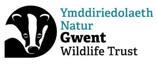 GWT Logo