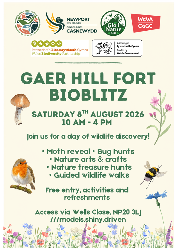 Gaer Hill Fort Bioblitz Poster