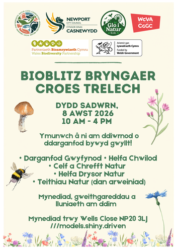 Gaer Hill Fort Bioblitz poster Cym