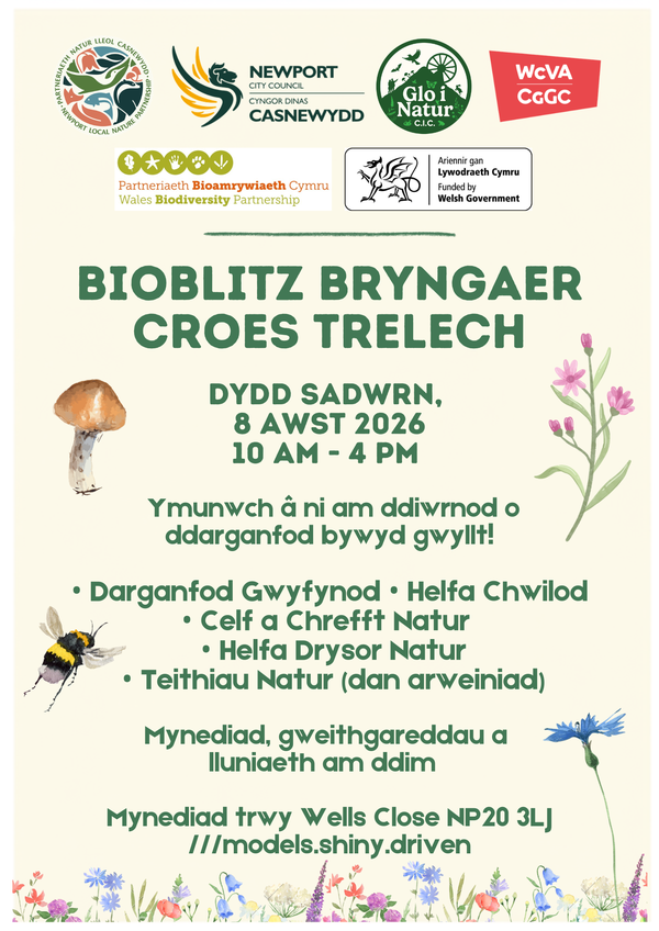 Gaer Hill Fort Bioblitz poster Cym