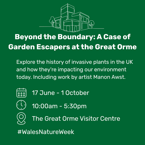 Beyond the Boundary: A Case of Garden Escapers at the Great Orme