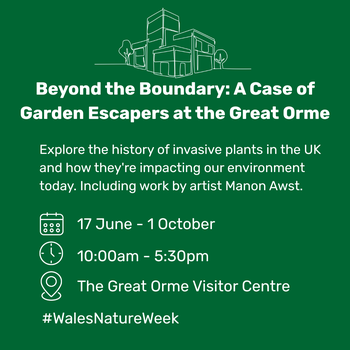 Beyond the Boundary: A Case of Garden Escapers at the Great Orme