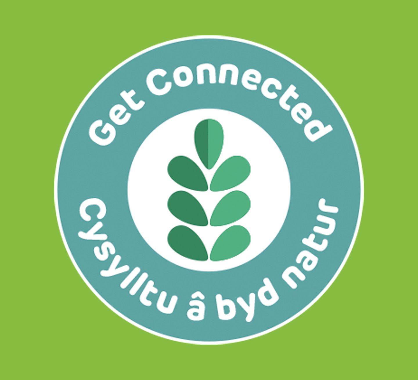 Get Connected