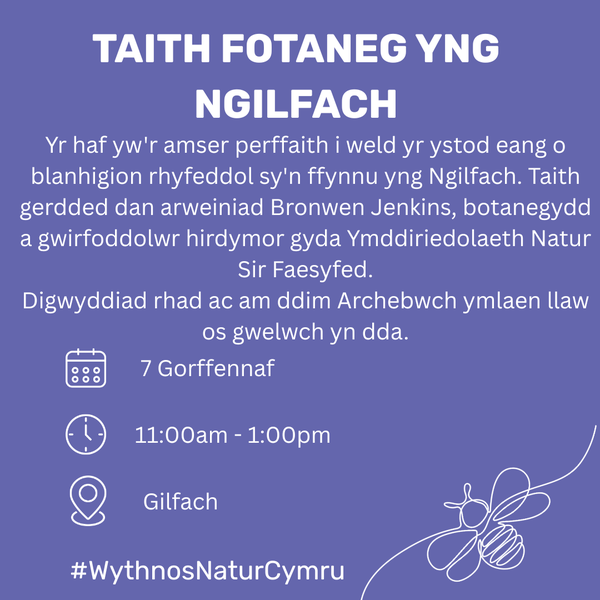 Gilfach Cym