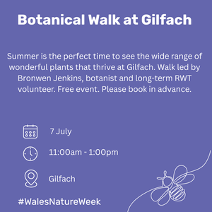 Gilfach Eng