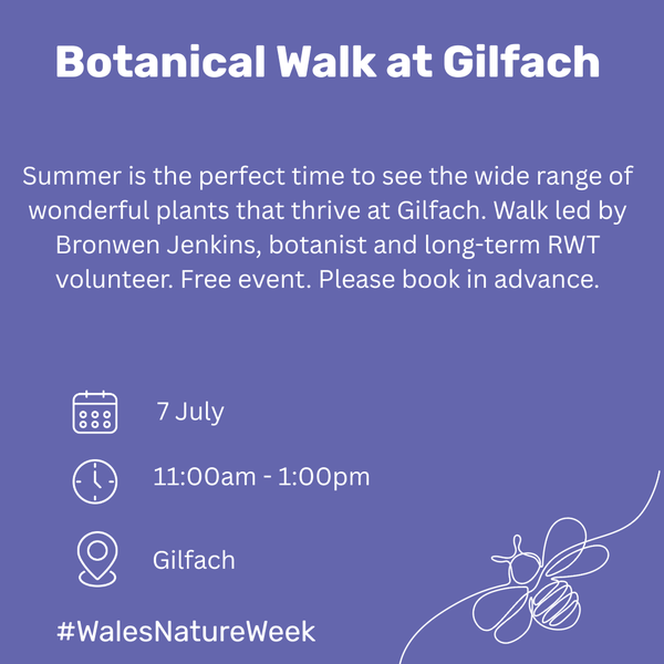 Gilfach Eng