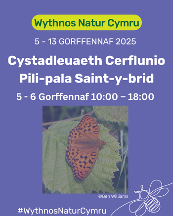 Cystadleuaeth Cerflunio Pili-pala Saint-y-brid