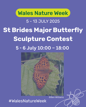 St Brides Major Butterfly Sculpture Contest