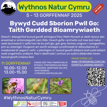Bywyd cudd sborion pwll go: taith gerdded bioamrywiaeth