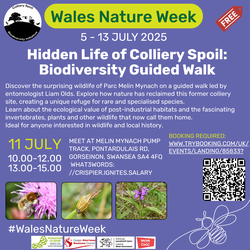 Hidden life of colliery spoil: Biodiversity Guided Walk