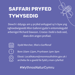 Saffari Pryfed Tywysedig yn y Fenni