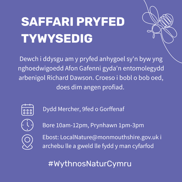 Saffari Pryfed Tywysedig yn y Fenni