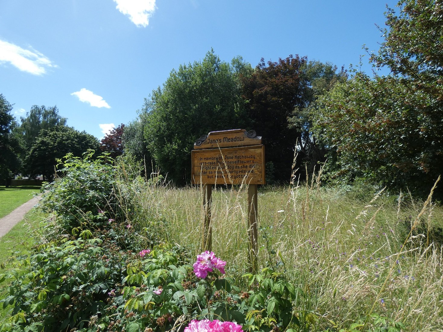 Janes Meadow Usk