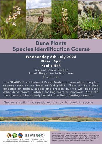 Kenfig event 08.07.2026