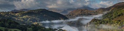 LLyn-Dinas-wodlands-Alun-Williams
