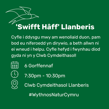'Swifft Hâff' Llanberis