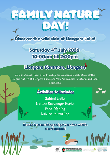 Llangors Nature Day