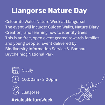 Llangorse Nature Day Cym