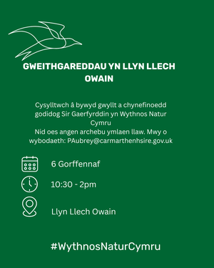 Llyn Llech Owain