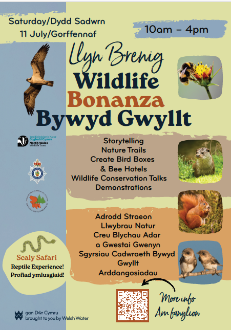 Llyn Brenig event