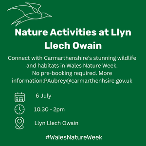 Llyn Lech Owain