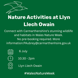 Llyn Lech Owain