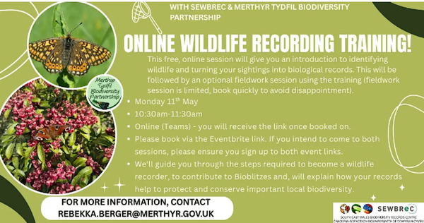 MTBC online recording eng