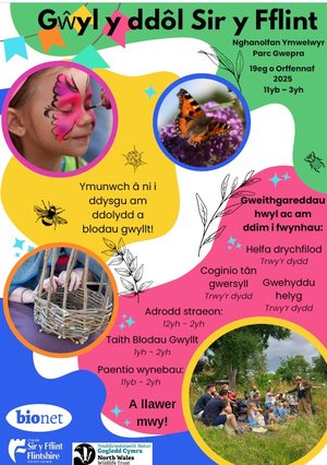 Meadowfest Cym